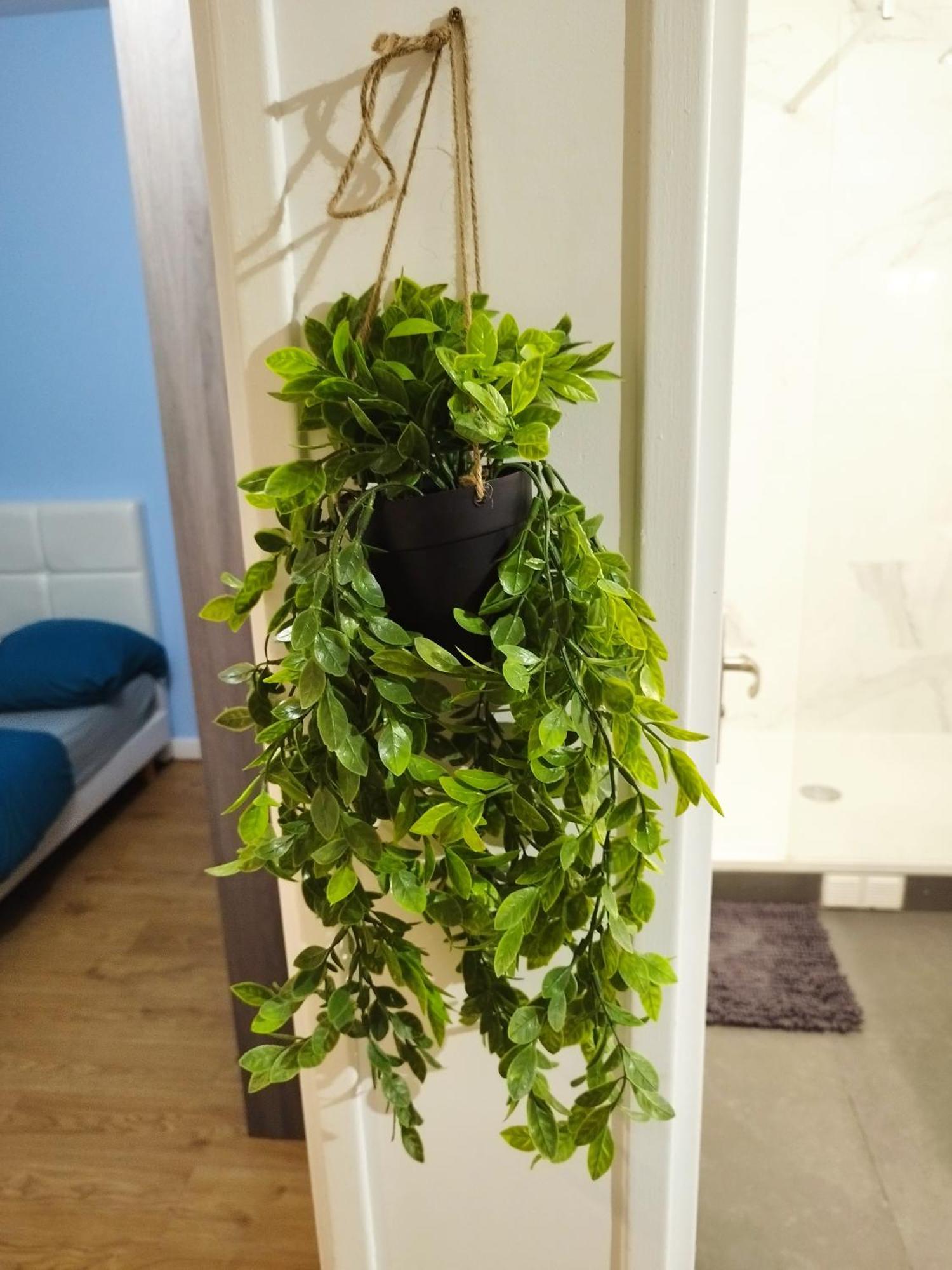 דירות ארג'נטויל Parisian Cosy Flat With Balcony מראה חיצוני תמונה